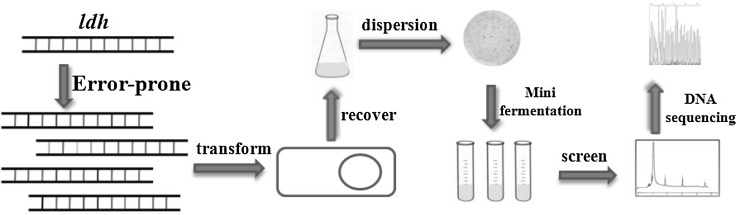 Fig. 3