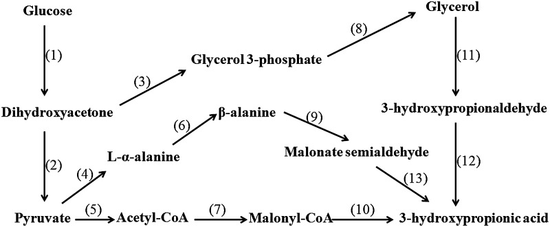 Fig. 1