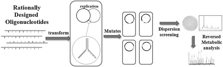 Fig. 2