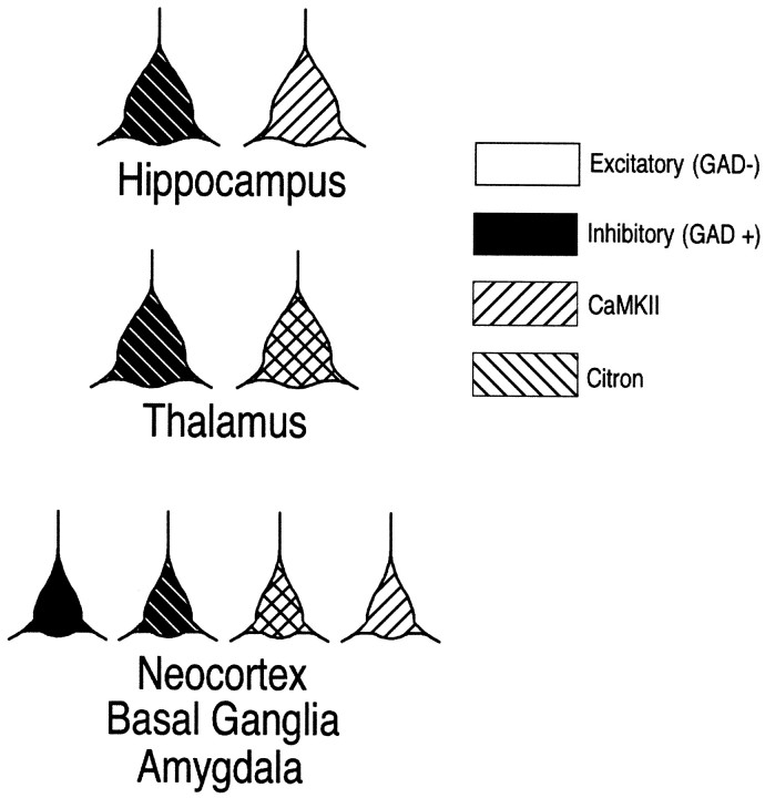 Fig. 10.