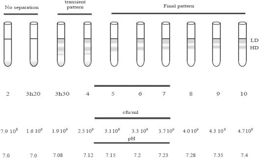 FIG. 1.