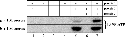 FIG. 3.