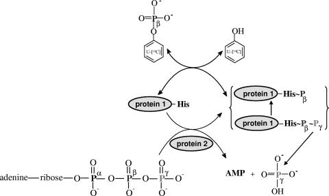 FIG. 10.