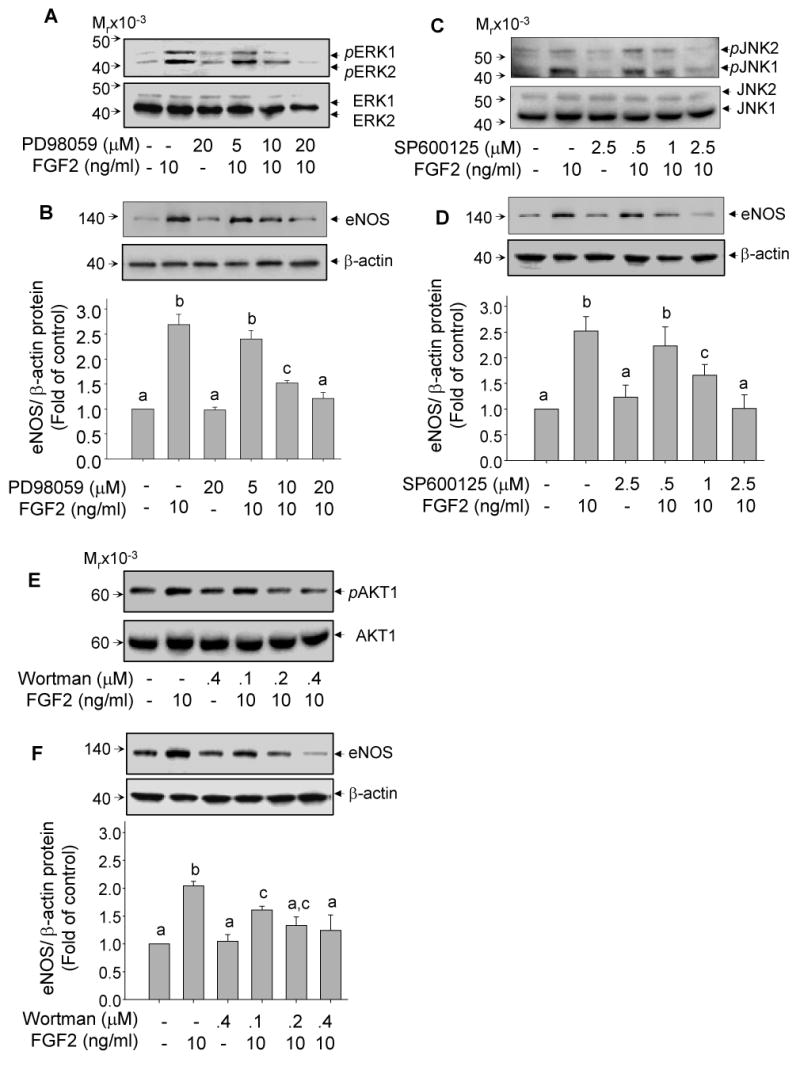 Fig 5