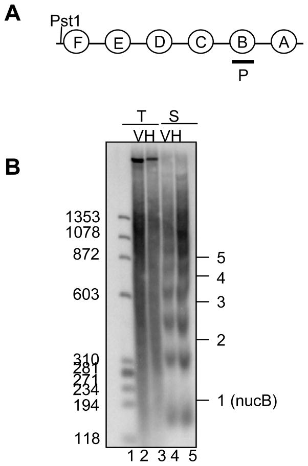 FIG. 5