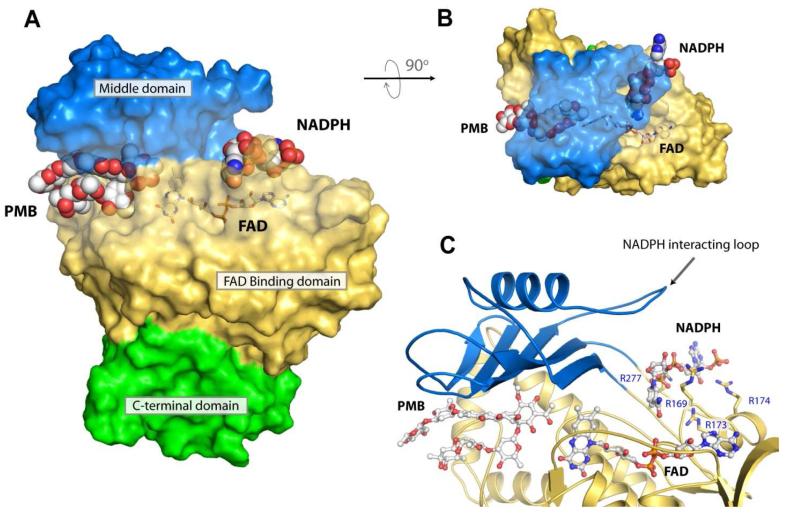 Figure 7