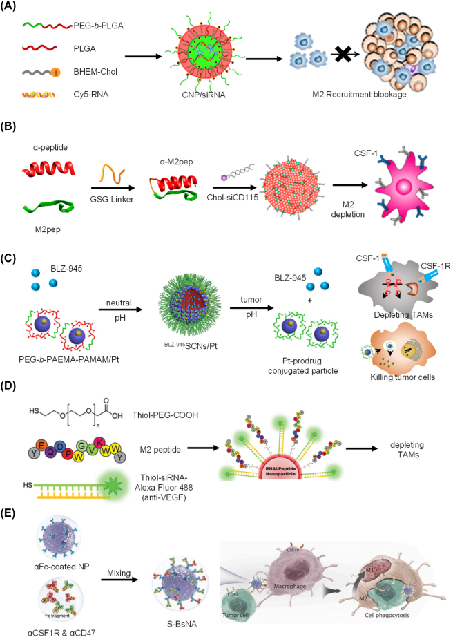 Figure 4: