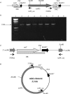 FIG. 4.
