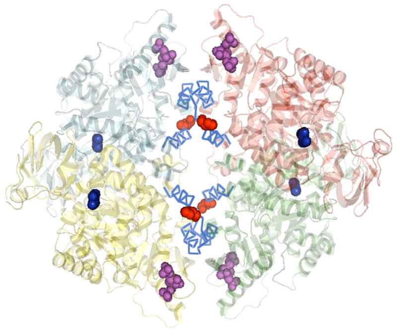 Fig. 1