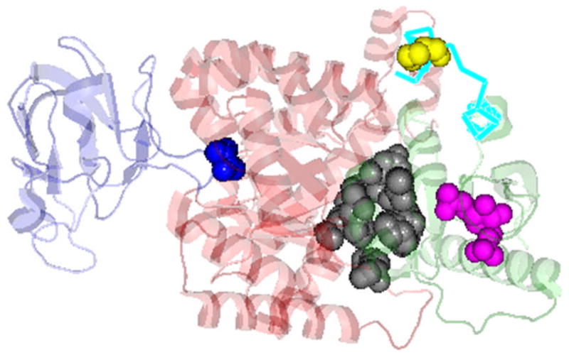 Fig. 2