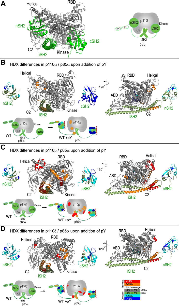 Fig. 3