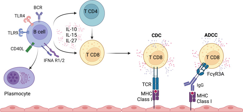 Figure 2