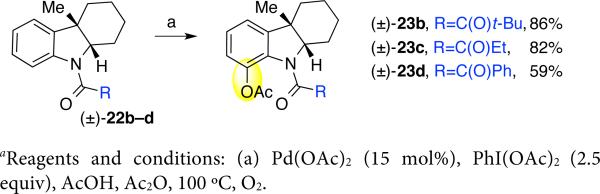 Scheme 5