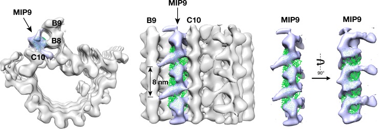 Figure 2—figure supplement 12.