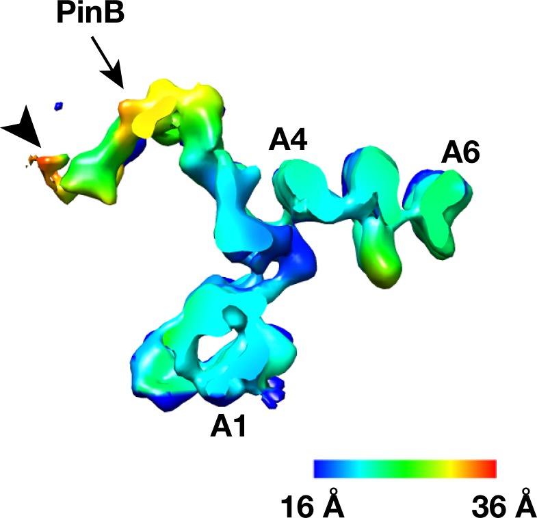 Figure 2—figure supplement 14.