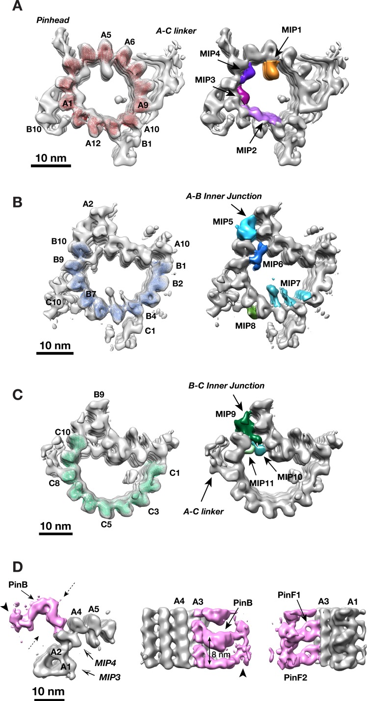 Figure 2.