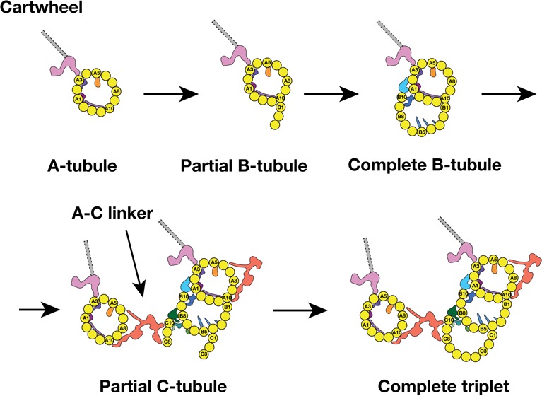 Figure 7.