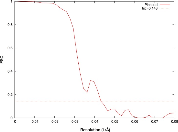 Figure 2—figure supplement 13.