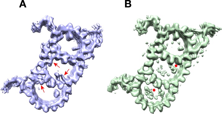 Figure 1—figure supplement 2.