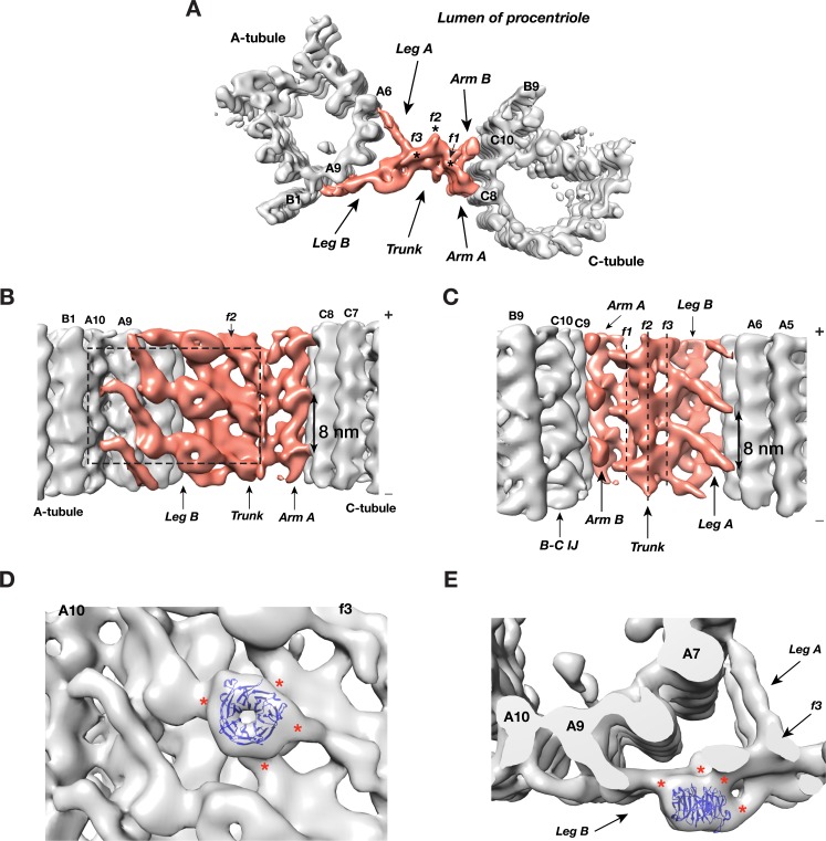 Figure 3.