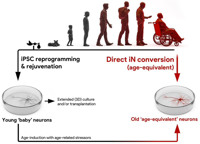 Figure 1 |