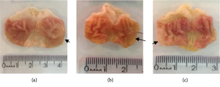 Figure 12