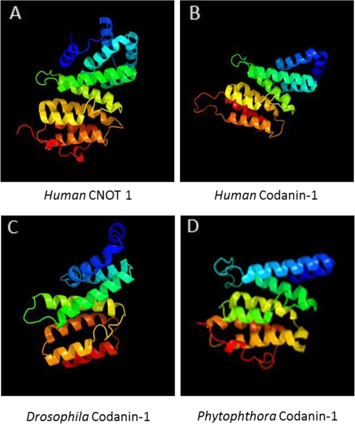 Fig. 7