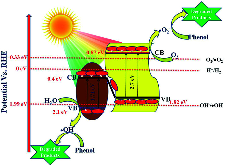 Scheme 3