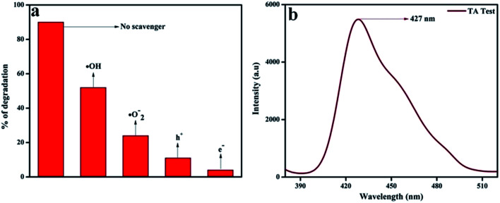 Fig. 13