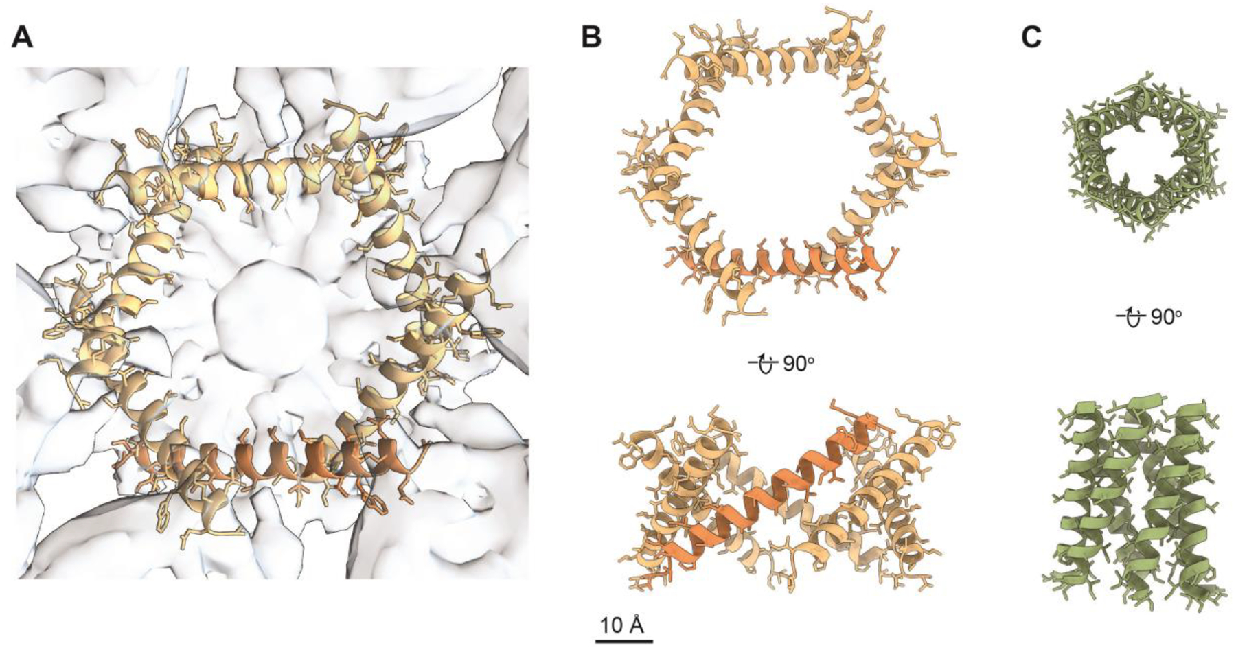 Figure 5.