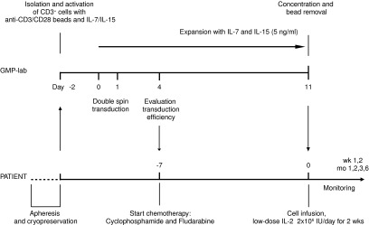 FIG. 1.