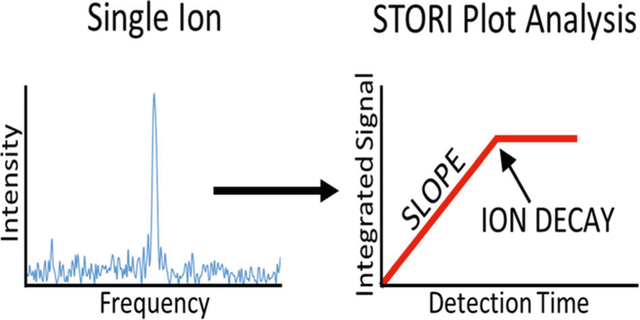 graphic file with name nihms-1058719-f0001.jpg