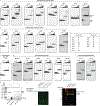 Extended Data Fig. 1 |
