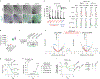 Fig. 4 |