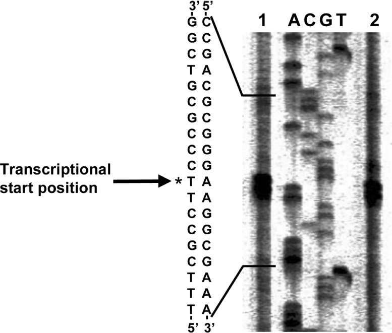 Figure 5