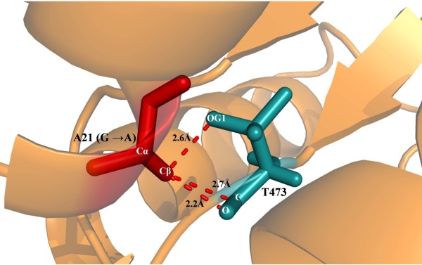 Figure 4