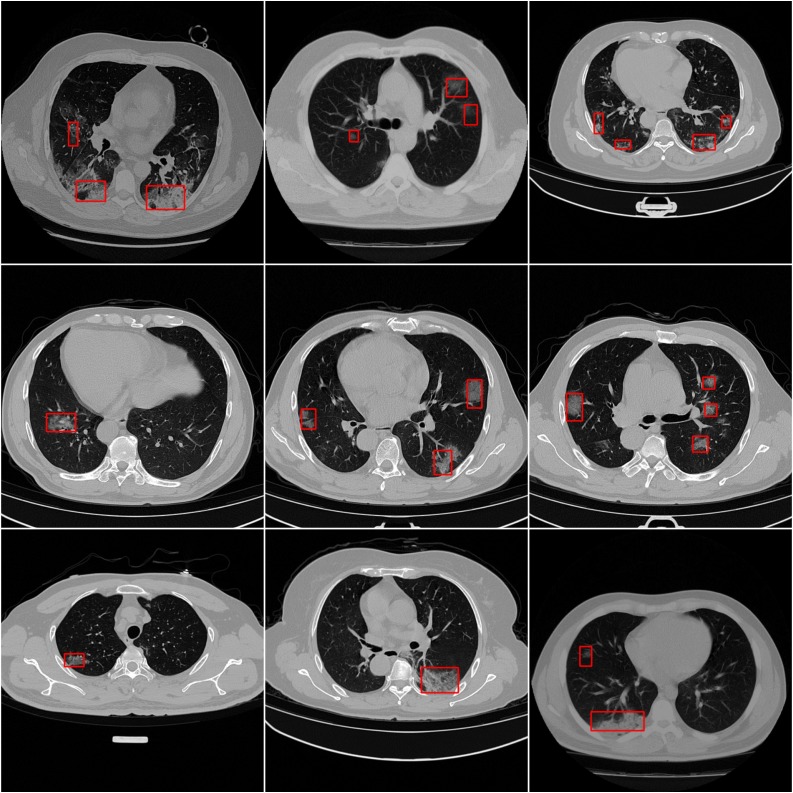 Fig. 5