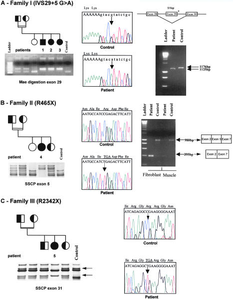 Figure  6