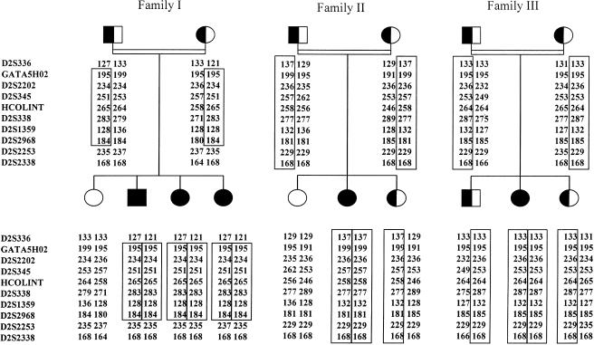 Figure  1