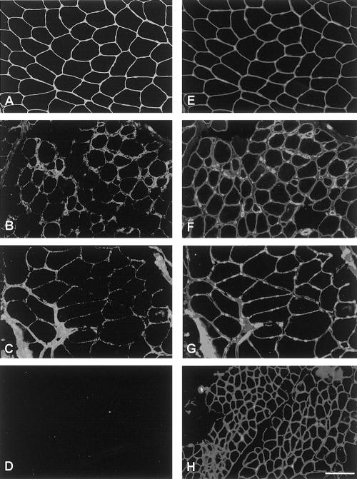 Figure  3