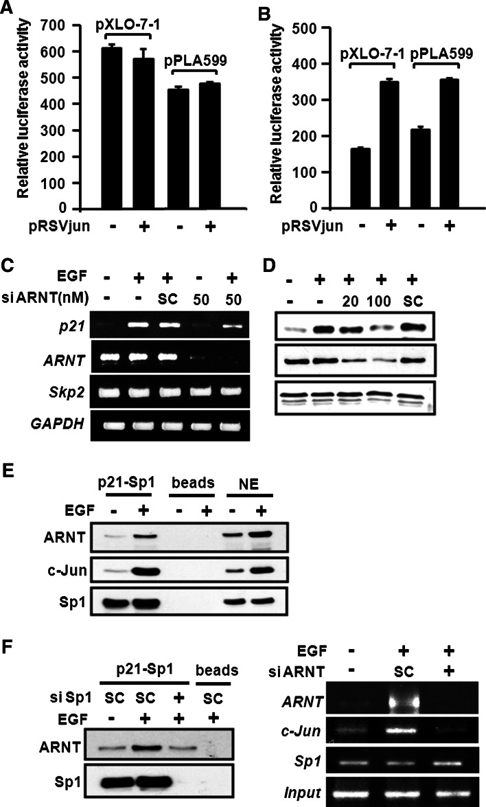 Fig. 6