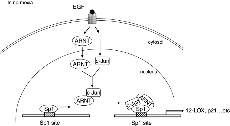 Fig. 7