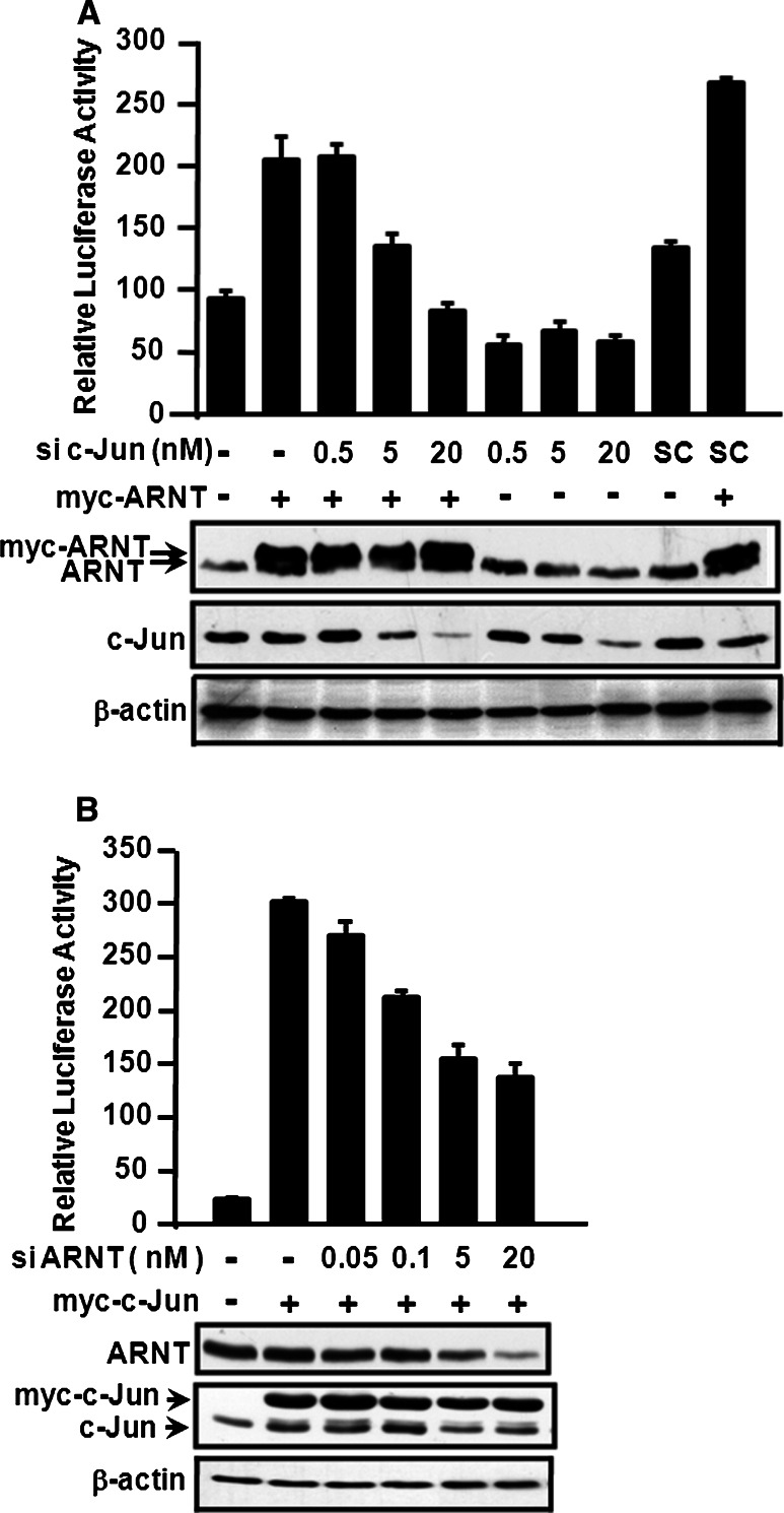 Fig. 4