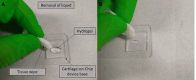 Figure 18