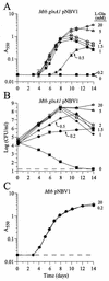 FIG.3.