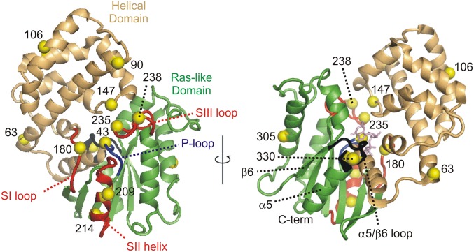 Fig. 1.