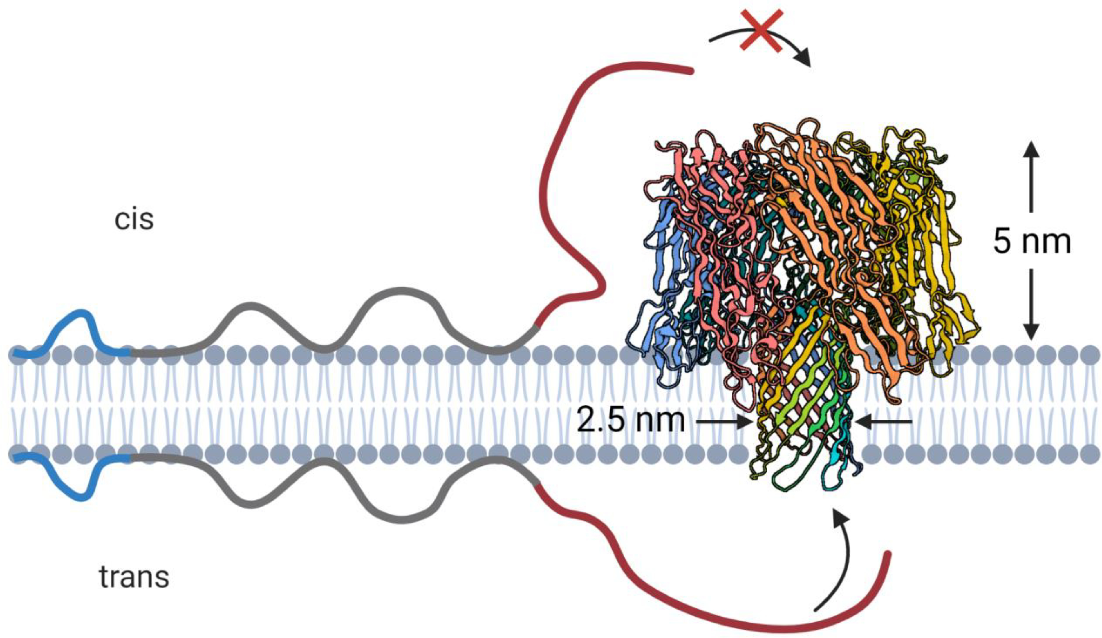 Figure 9.