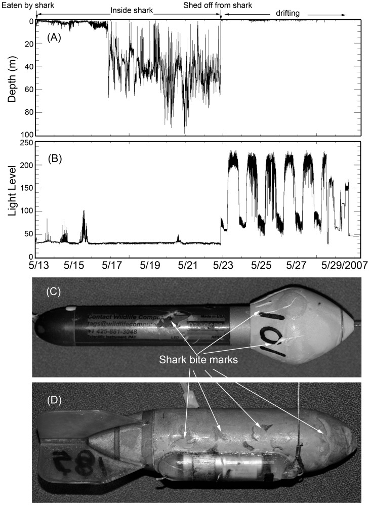 Figure 10