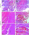 <b>FIG. 9.</b>