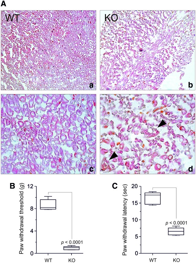 FIG. 8.